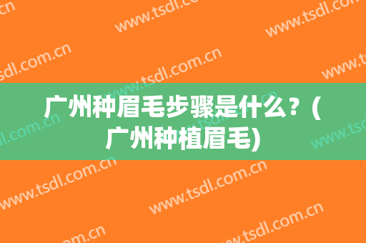 广州种眉毛步骤是什么？(广州种植眉毛)