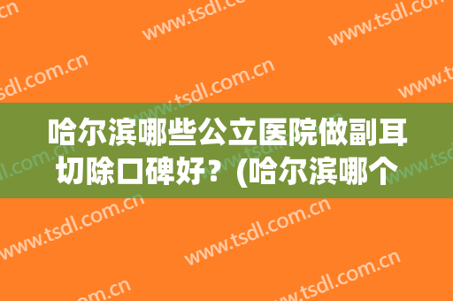 哈尔滨哪些公立医院做副耳切除口碑好？(哈尔滨哪个医院看的好)