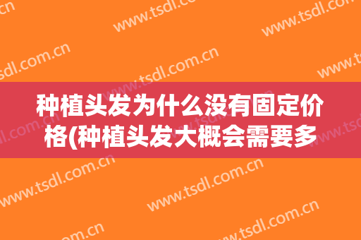 种植头发为什么没有固定价格(种植头发大概会需要多少钱贵不贵)