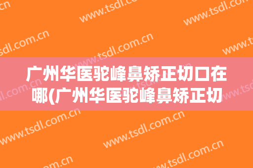 广州华医驼峰鼻矫正切口在哪(广州华医驼峰鼻矫正切口在哪个医院)