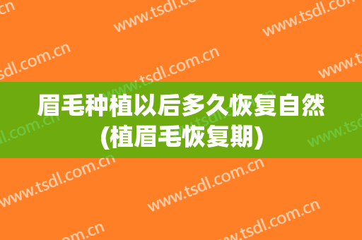 眉毛种植以后多久恢复自然(植眉毛恢复期)