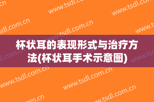 杯状耳的表现形式与治疗方法(杯状耳手术示意图)