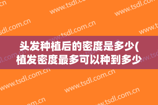 头发种植后的密度是多少(植发密度最多可以种到多少)