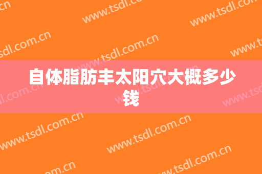 自体脂肪丰太阳穴大概多少钱