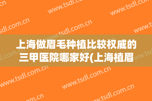 上海做眉毛种植比较权威的三甲医院哪家好(上海植眉哪里好)