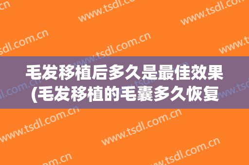 毛发移植后多久是最佳效果(毛发移植的毛囊多久恢复好)