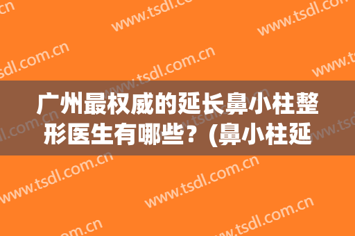 广州最权威的延长鼻小柱整形医生有哪些？(鼻小柱延长可以单独做吗)