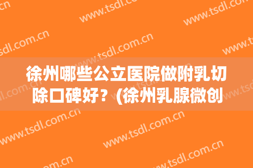 徐州哪些公立医院做附乳切除口碑好？(徐州乳腺微创手术哪个医院好)
