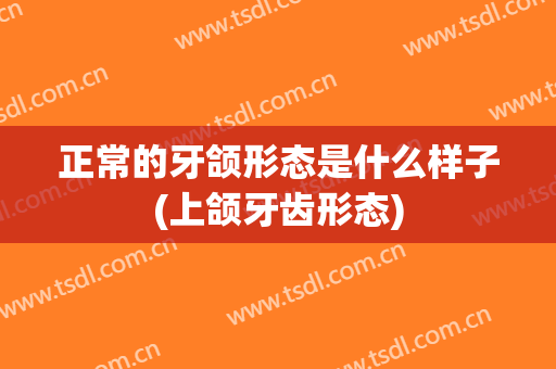 正常的牙颌形态是什么样子(上颌牙齿形态)