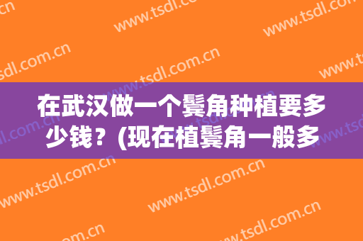 在武汉做一个鬓角种植要多少钱？(现在植鬓角一般多少钱)