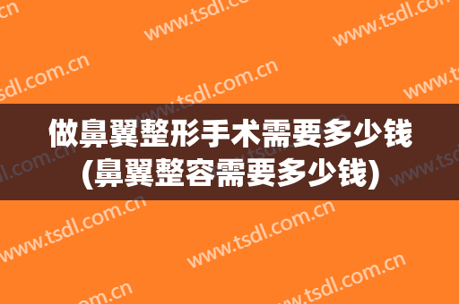 做鼻翼整形手术需要多少钱(鼻翼整容需要多少钱)