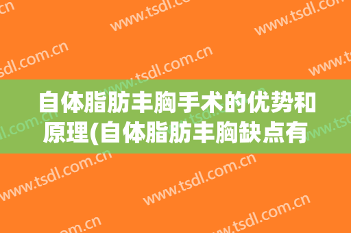 自体脂肪丰胸手术的优势和原理(自体脂肪丰胸缺点有哪些)