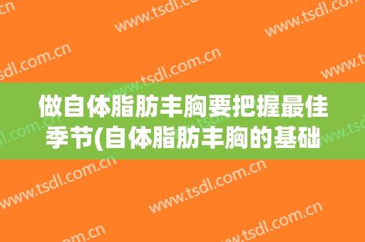 做自体脂肪丰胸要把握最佳季节(自体脂肪丰胸的基础条件)