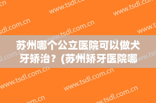 苏州哪个公立医院可以做犬牙矫治？(苏州矫牙医院哪家好)