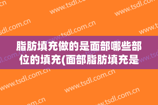 脂肪填充做的是面部哪些部位的填充(面部脂肪填充是什么)