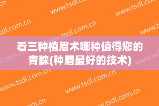 看三种植眉术哪种值得您的青睐(种眉最好的技术)