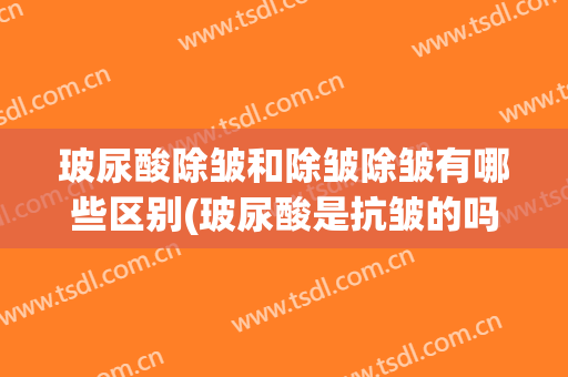 玻尿酸除皱和除皱除皱有哪些区别(玻尿酸是抗皱的吗)