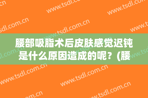 腰部吸脂术后皮肤感觉迟钝是什么原因造成的呢？(腰部吸脂术后皮肤感觉迟钝是什么原因造成的呢图片)