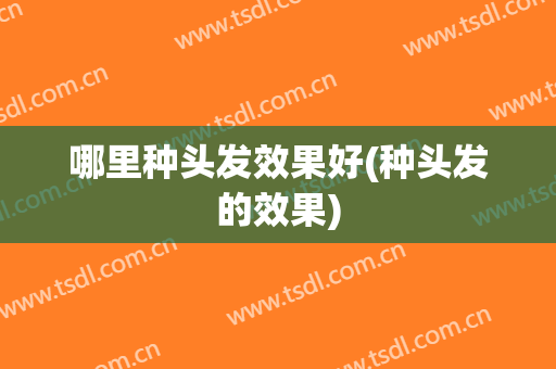 哪里种头发效果好(种头发的效果)