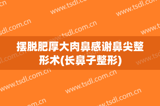 摆脱肥厚大肉鼻感谢鼻尖整形术(长鼻子整形)
