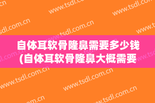 自体耳软骨隆鼻需要多少钱(自体耳软骨隆鼻大概需要多少钱)