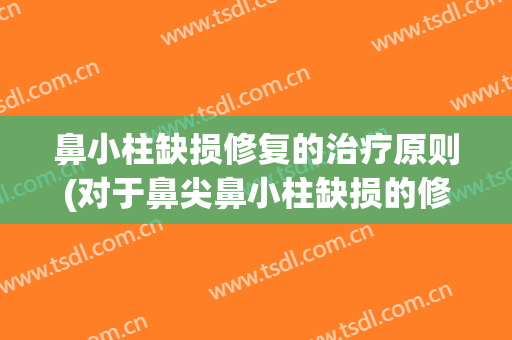 鼻小柱缺损修复的治疗原则(对于鼻尖鼻小柱缺损的修复)