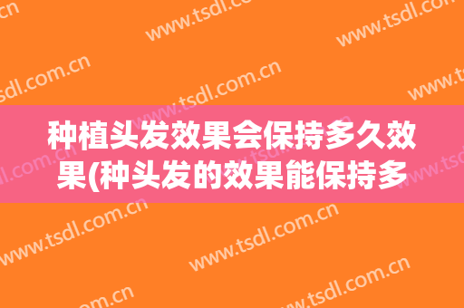 种植头发效果会保持多久效果(种头发的效果能保持多久)