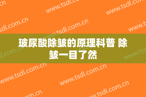 玻尿酸除皱的原理科普 除皱一目了然