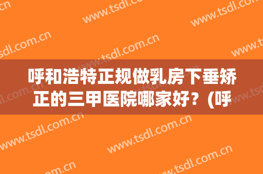 呼和浩特正规做乳房下垂矫正的三甲医院哪家好？(呼和浩特正规做乳房下垂矫正的三甲医院哪家好一点)