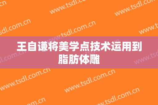 王自谦将美学点技术运用到脂肪体雕