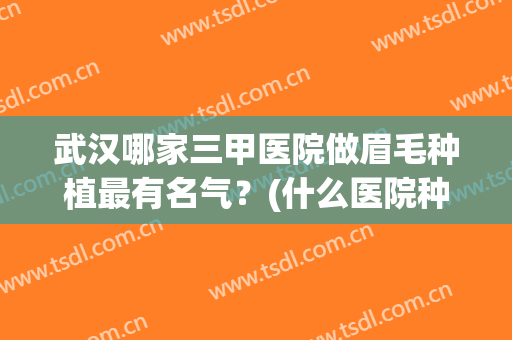 武汉哪家三甲医院做眉毛种植最有名气？(什么医院种眉比较好)