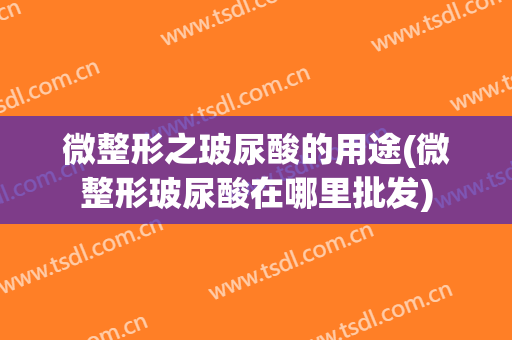 微整形之玻尿酸的用途(微整形玻尿酸在哪里批发)