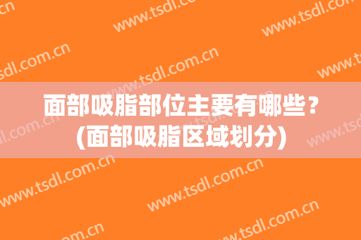 面部吸脂部位主要有哪些？(面部吸脂区域划分)