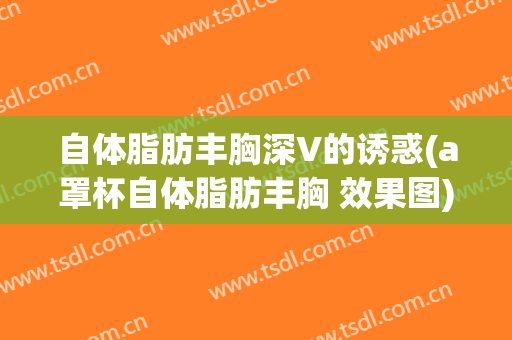 自体脂肪丰胸深V的诱惑(a罩杯自体脂肪丰胸 效果图)