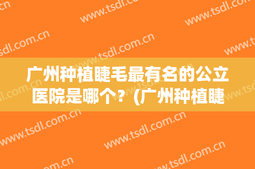 广州种植睫毛最有名的公立医院是哪个？(广州种植睫毛最有名的公立医院是哪个呢)
