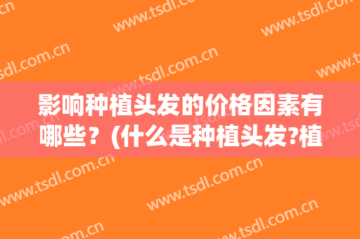 影响种植头发的价格因素有哪些？(什么是种植头发?植发种发效果咋样)
