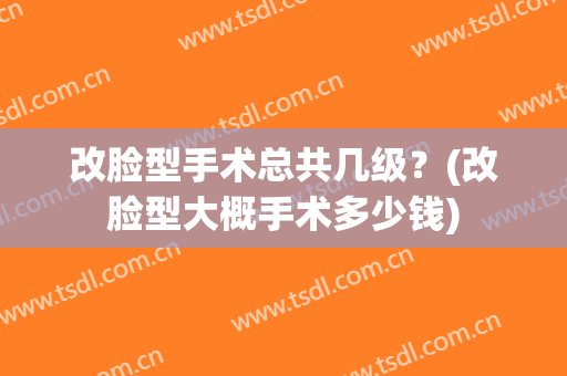 改脸型手术总共几级？(改脸型大概手术多少钱)