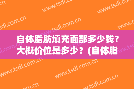 自体脂肪填充面部多少钱？大概价位是多少？(自体脂肪填充面部大概多少钱)