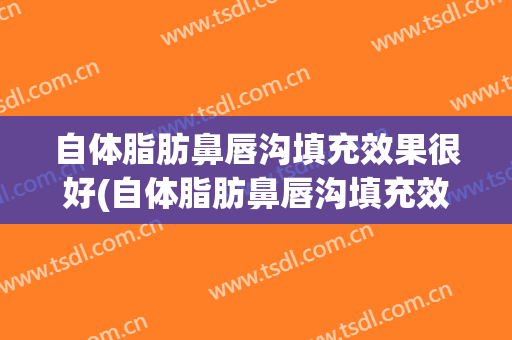 自体脂肪鼻唇沟填充效果很好(自体脂肪鼻唇沟填充效果很好吗)