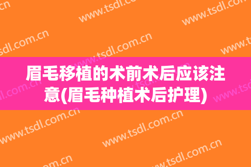 眉毛移植的术前术后应该注意(眉毛种植术后护理)