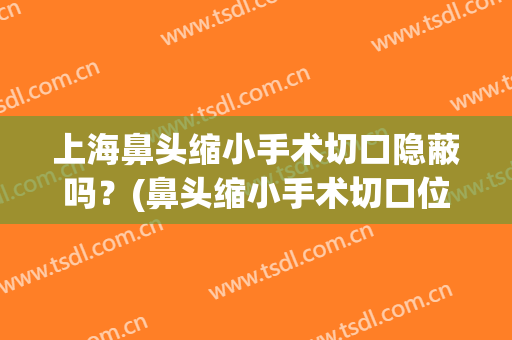 上海鼻头缩小手术切口隐蔽吗？(鼻头缩小手术切口位置)