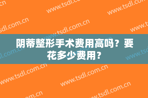 阴蒂整形手术费用高吗？要花多少费用？