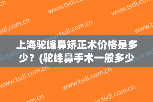 上海驼峰鼻矫正术价格是多少？(驼峰鼻手术一般多少钱)