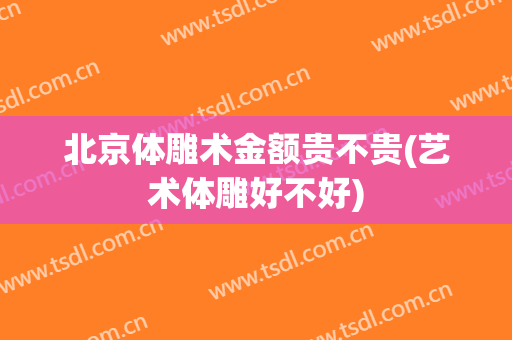 北京体雕术金额贵不贵(艺术体雕好不好)