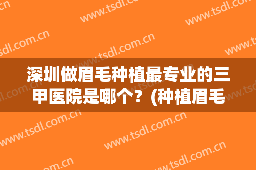 深圳做眉毛种植最专业的三甲医院是哪个？(种植眉毛哪家好)