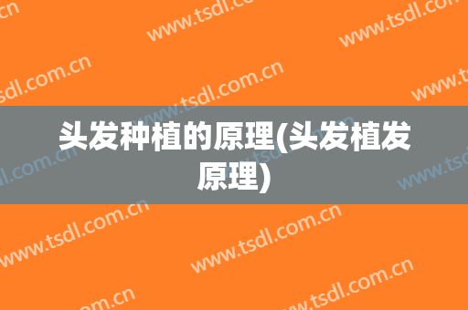 头发种植的原理(头发植发原理)