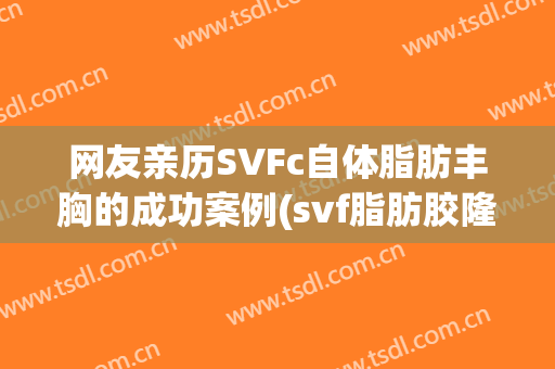 网友亲历SVFc自体脂肪丰胸的成功案例(svf脂肪胶隆胸)