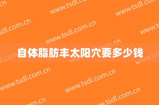 自体脂肪丰太阳穴要多少钱