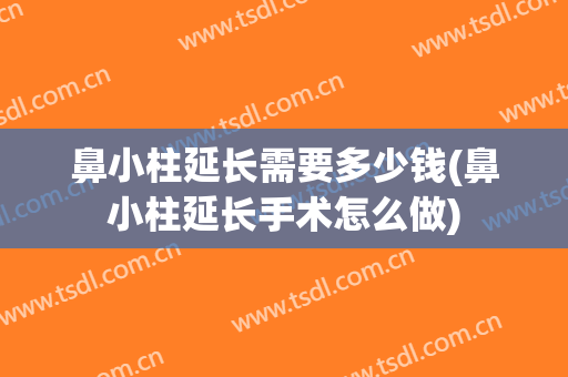 鼻小柱延长需要多少钱(鼻小柱延长手术怎么做)