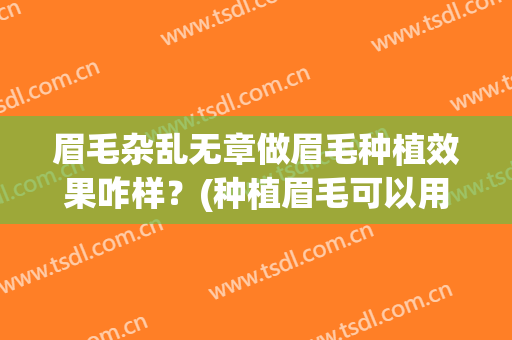 眉毛杂乱无章做眉毛种植效果咋样？(种植眉毛可以用多余的眉毛种植吗)